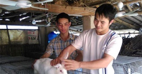 8x kiếm tiền tỷ nhờ nuôi thỏ