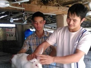 8x kiếm tiền tỷ nhờ nuôi thỏ