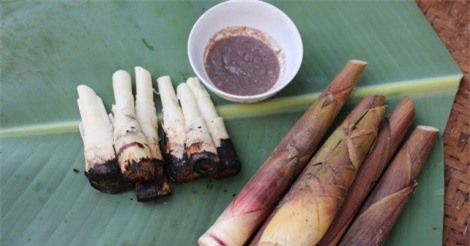 Ăn măng đắng có thể gây chết người