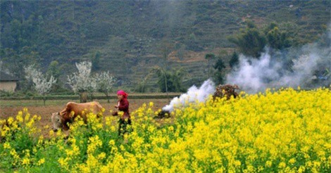 DỰ BÁO THỜI TIẾT (5/3): Bắc Bộ sắp đón 2 đợt không khí lạnh, Nam Bộ nắng nóng