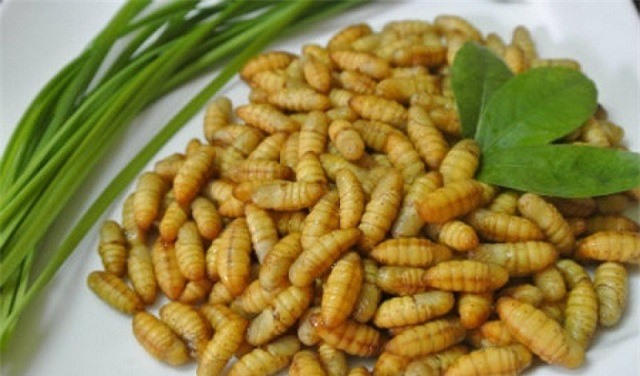 Những món ăn chữa liệt dương, tăng cường sinh lực ở nam giới