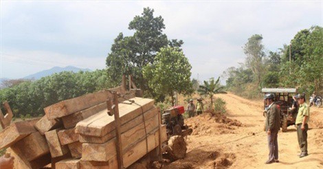 Bắt giữ 5 đối tượng liên quan vụ hàng đoàn xe chở gỗ lậu ở Đắk Lắk
