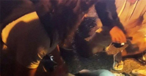 Hai nữ du khách bị đánh nhập viện tại chợ đêm Đà Lạt