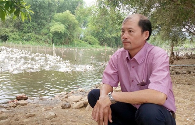 Thu lãi tiền tỉ nhờ nuôi vịt