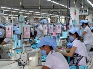 Triển khai Nghị quyết số 35/NQ-CP và Chỉ thị số 26/CT-TTg chưa tạo những đột phá