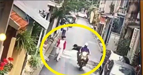 Clip: Người phụ nữ ở Hà Nội bị cướp chó giữa ban ngày
