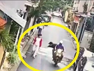Clip: Người phụ nữ ở Hà Nội bị cướp chó giữa ban ngày