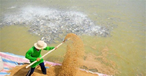 Vingroup lấn sân mảng thức ăn chăn nuôi: Mua 24% cổ phần Việt Thắng từ tay "vua cá tra" Hùng Vương