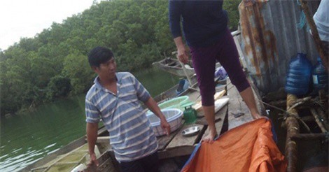 Triển vọng mô hình nuôi cá chẽm ở lòng hồ thủy điện sông Hinh