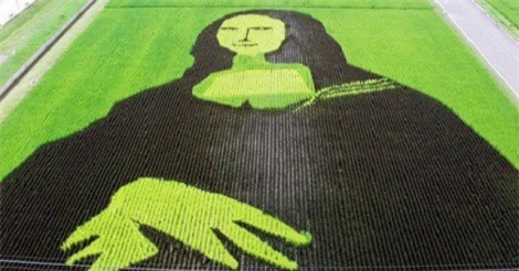 Làng thần kỳ Nhật Bản: Từ nghèo nhất đến nổi tiếng khắp cả nước, doanh số bán gạo tăng 400% nhờ biến ruộng lúa thành tranh