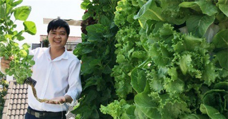 Từ tay trắng đến ông chủ sản xuất viên nén ươm hạt có doanh thu trên 3 tỷ đồng