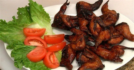 Cách chế biến chim cút làm thuốc chữa bệnh