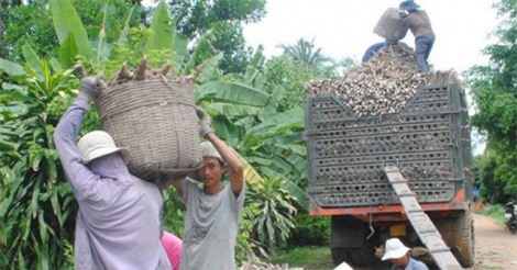 Đắk Lắk: Xác minh thông tin tố CSGT ép nông dân bán nông sản giá rẻ