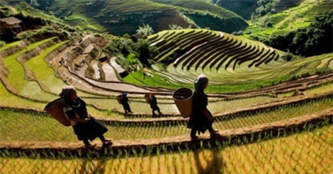 DỰ BÁO THỜI TIẾT (14/3): Bắc Bộ dứt mưa dông, Nam Bộ không hạ nhiệt