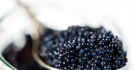 “Sốc” với những món ăn giá bạc tỷ của đại gia Việt