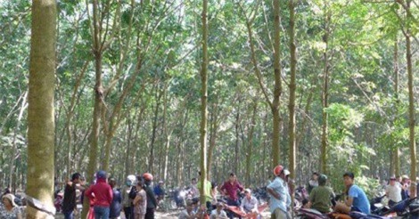 Bắt nghi can hiếp dâm bé 4 tuổi rồi bỏ xuống giếng