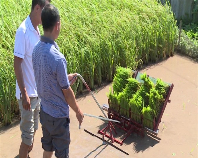 Clip: Cận cảnh máy cấy lúa “made in Việt Nam" không cần dùng động cơ 