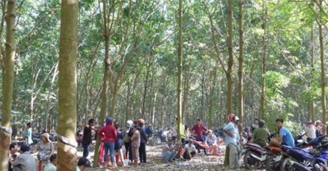 Lời khai rùng rợn của nghi can sát hại bé gái 4 tuổi