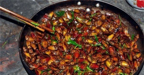 Đặc sản Tây Bắc thách thức sự can đảm của thực khách 