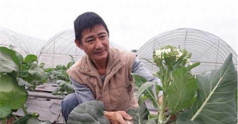 Kiếm tiền tỷ từ rau hữu cơ