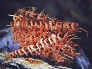 Những món ăn lạ miệng nghe tên đã thấy thèm ở hồ Ba Bể