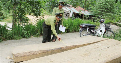 Quảng Ngãi: Bí thư huyện "ỉm" 13ha đất rừng, lấy tiền tậu biệt thự