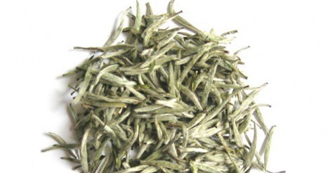 Bạch trà có gì “hot” mà giá “đắt cắt cổ” vẫn được đại gia Việt săn lùng?