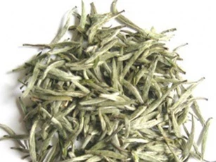 Bạch trà có gì “hot” mà giá “đắt cắt cổ” vẫn được đại gia Việt săn lùng?