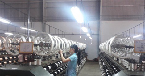 Giá kén tằm tăng cao kỷ lục, người trồng dâu ở Lâm Đồng thu lợi nhuận cao