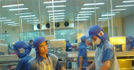 Lý do giúp cá tra tăng giá kỷ lục từ trước đến nay