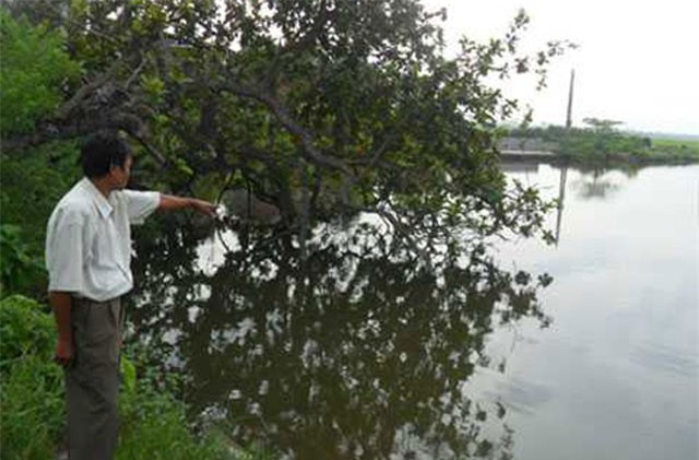 Ly kỳ chuyện ngôi làng bị 'ám do lời nguyền' ở Thái Bình