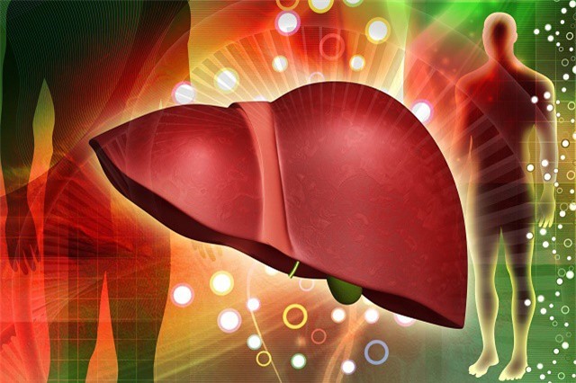 Mùa nắng, ăn uống thế nào để bảo vệ gan?