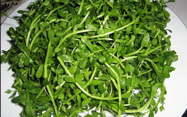 Rau đắng - món rau thanh mát, giải nhiệt mùa hè