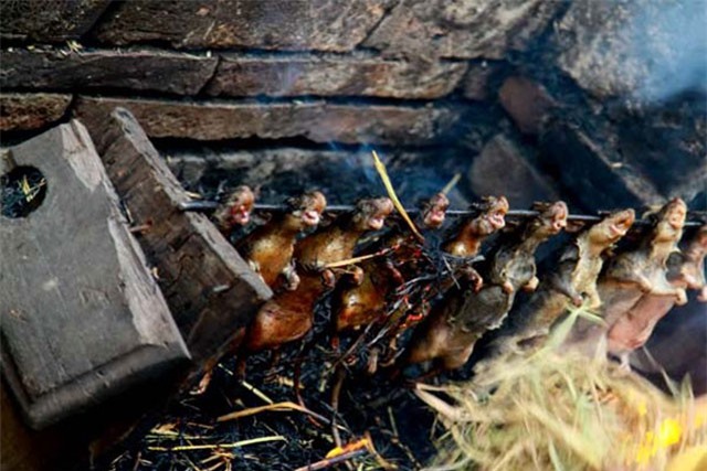 Độc đáo tục cúng thịt chuột ngày Tết của người Dao