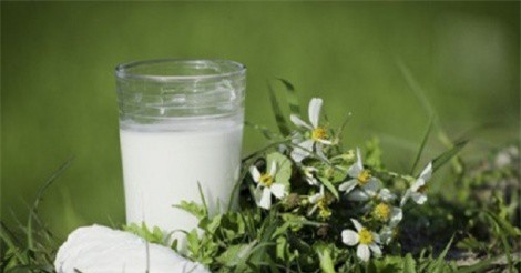 Mùa hè không lo bị nóng với bột sắn dây