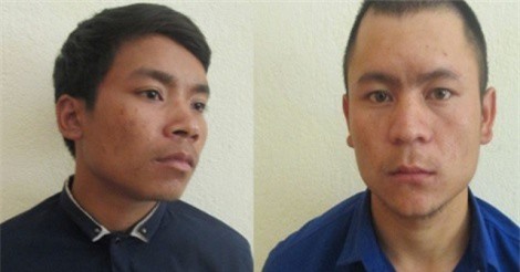 Quảng Nam: Bắt tạm giam 2 bị can trộm 150 gốc sâm Ngọc Linh