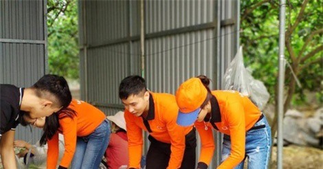 Siêu thị Qmart của T&T giải cứu củ cải ế cho nông dân Tráng Việt