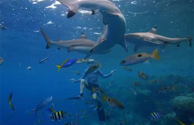 "Tận mục" bộ tộc làm nghề nguy hiểm nhất thế giới để kiếm sống