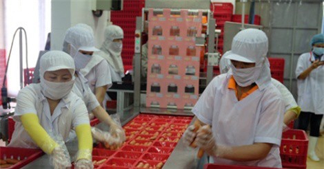 Viet Foods giới thiệu nhà máy sản xuất thực phẩm theo tiêu chuẩn quốc tế