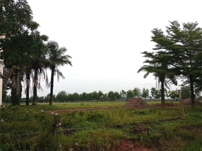Huyện Mê Linh, Hà Nội: Nhiều dự án bỏ đất hoang
