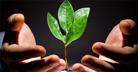 Quỹ đầu tư khởi nghiệp sáng tạo đã có khung pháp lý