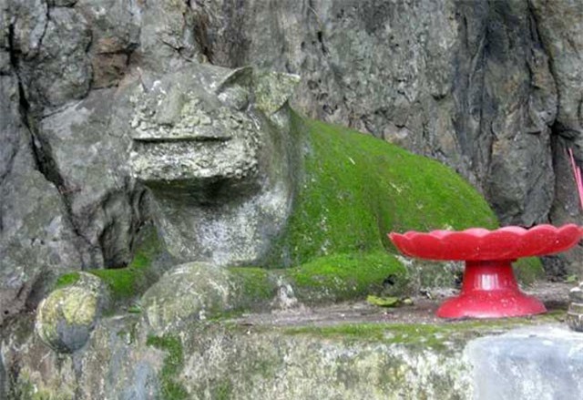 Kỳ bí chuyện cọp trắng khổng lồ được thờ phụng ở Phú Yên