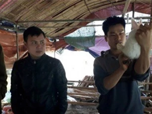 Một vốn bốn lời từ nuôi thỏ trắng