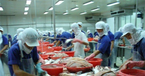 Mỹ tăng thuế chống bán phá giá cá tra lên 5 lần, VASEP tính khởi kiện