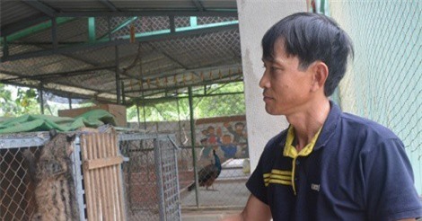 Nuôi thú rừng, lãi hơn 300 triệu mỗi năm