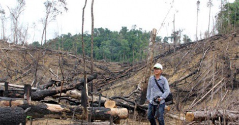 Quảng Nam: Nhiều cán bộ kiểm lâm chủ chốt bị kiểm điểm, cách chức