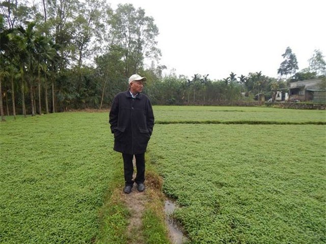 Thu tiền tỷ mỗi năm từ cây rau răm và trang trại tổng hợp