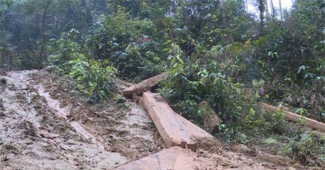 Truy rõ trách nhiệm trong vụ phá rừng nghiêm trọng ở Quảng Bình