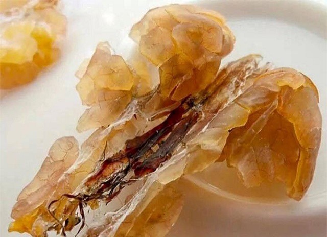 Vì sao tuyết giáp - thần dược ếch nhái giá gần 100 triệu đồng/kg vẫn "cháy" hàng?