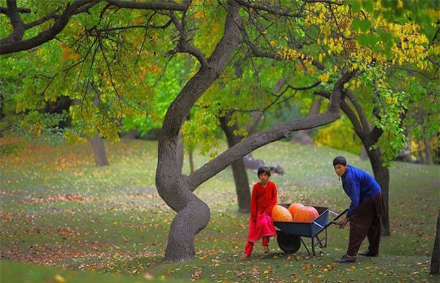 Bí ẩn bộ tộc nơi con người thọ trung bình 120 tuổi